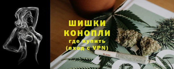 ешки Гусев