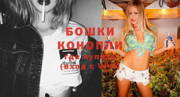 ешки Гусев