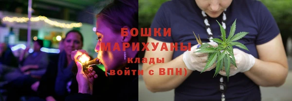 ешки Гусев