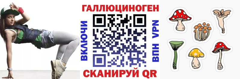 Псилоцибиновые грибы Psilocybine cubensis  Купить закладки  Пудож 