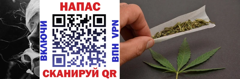 Бошки Шишки планчик Пудож